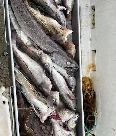 Krokenes Sylte  Exteriör bild